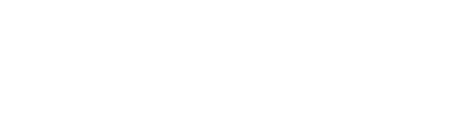 Logo Kreisstadt Neunkirchen 